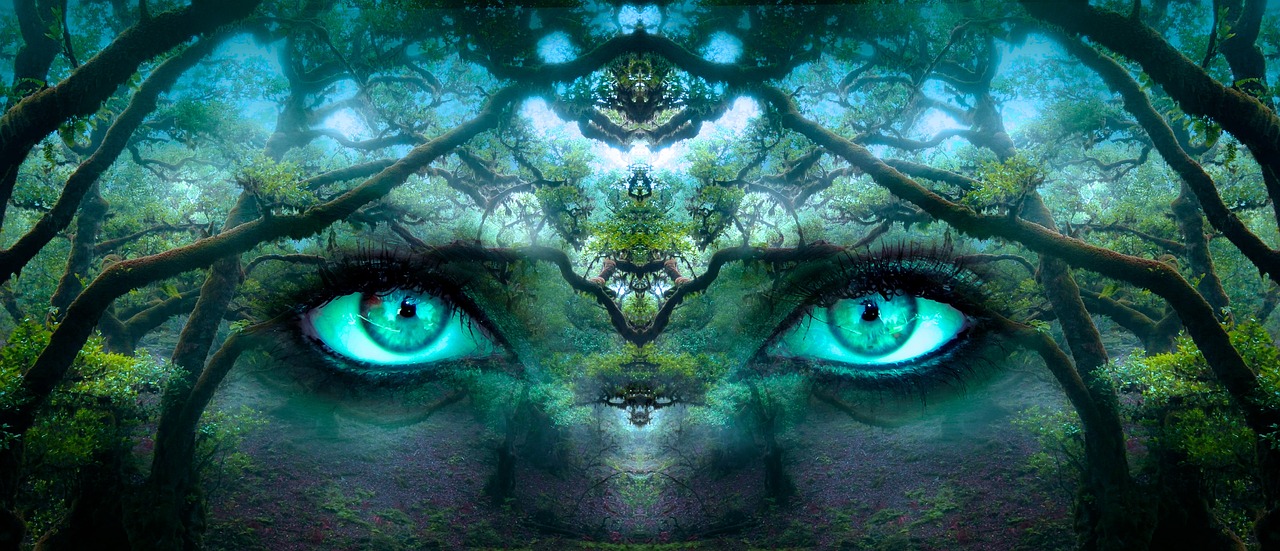 The Boundaries of Human Consciousness